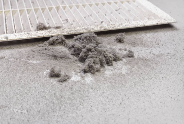 Best Emergency Air Duct Cleaning  in Sylvania, GA