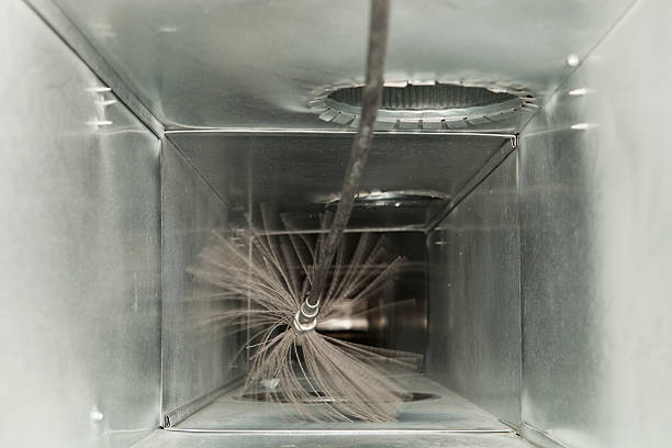 Best Professional Duct Cleaning Services  in Sylvania, GA