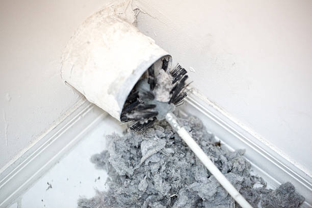 Best Home Air Vent Cleaning  in Sylvania, GA